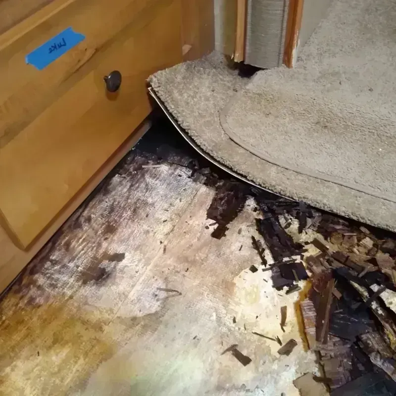 Wood Floor Water Damage in Lyon County, NV